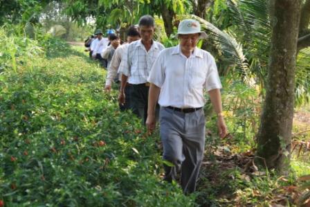 Vươn lên thoát nghèo nhờ sản xuất rau màu chất lượng cao