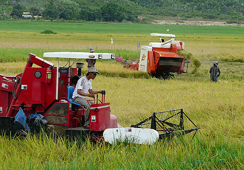 Cơ giới hóa nông nghiệp vùng Đồng Bằng Sông Cửu Long