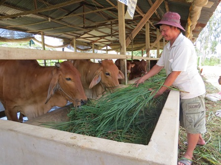 Câu chuyện làm giàu của một nông dân vùng biên