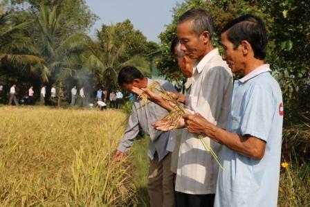 Nông dân huyện Châu Thành tâm đắc với mô hình IPM