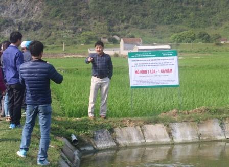 TS Lê Quốc Thanh cùng đoàn công tác đánh giá kết quả sau thời gian triển khai mô hình tại xã Yên Đồng