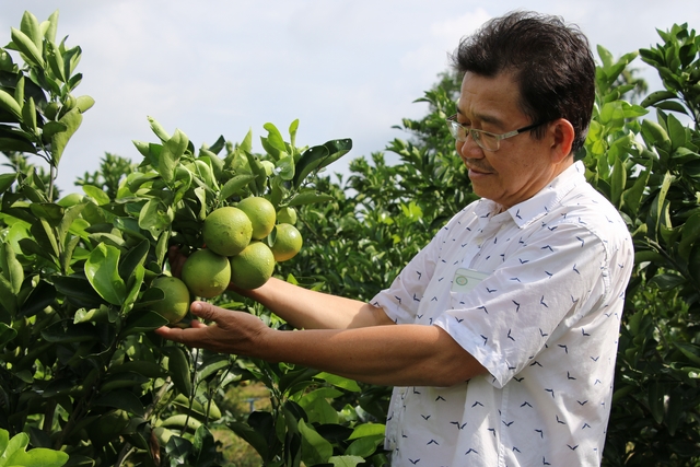 Người nông dân với tâm huyết sản xuất nông sản sạch