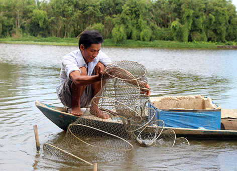 Sự hỗ trợ khoa học kỹ thuật kịp thời sẽ góp phần nâng cao hiệu quả ở các mô hình.